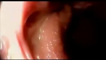 Cumming Inside A Vagina: A Close-Up View